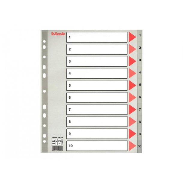 Register ESSELTE PP A4 Maxi 1-10 gr