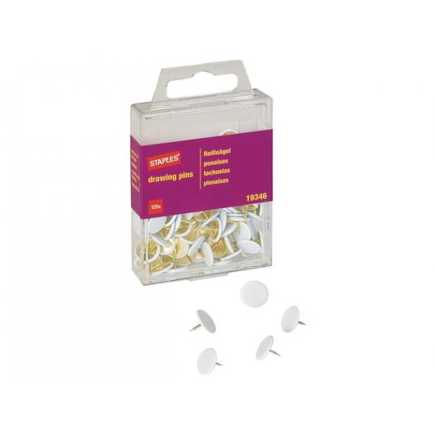 Tegnestift STAPLES hvide 120/pk.