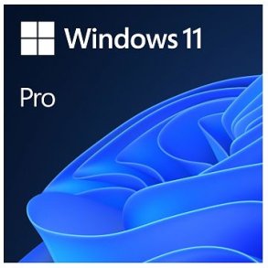 MS SB Windows 11 Pro 64bit [DK] Licensngle