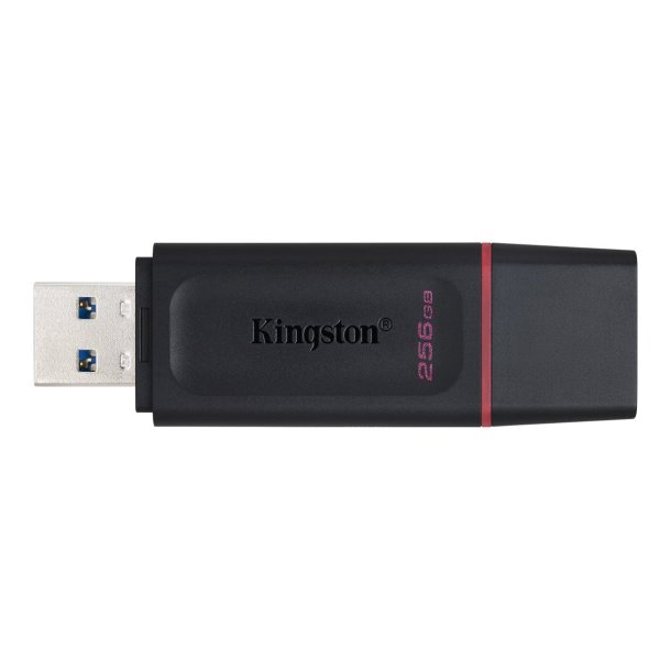 Kingston DataTraveler Exodia 256GB USB 3.2 Gen 1 Sort Pink
