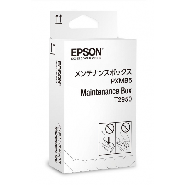 Epson WorkForce WF-100W Maintance Box T2950 PXMB5