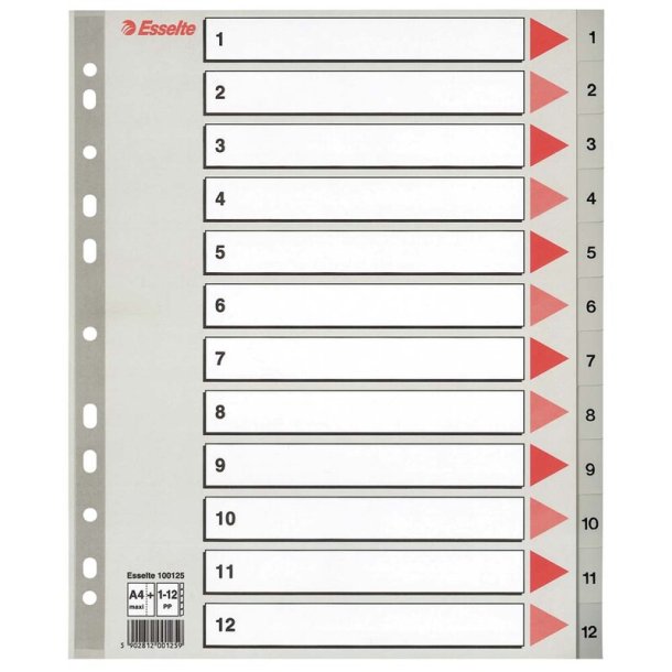 Esselte Indeks 1-12 Maxi