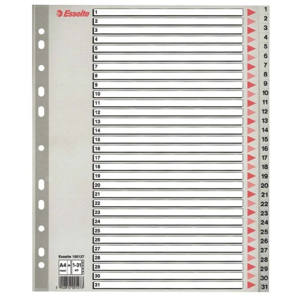 Esselte Faneblad 1-31 Maxi