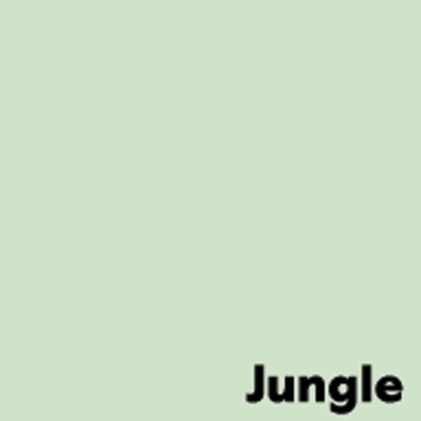 IMAGE COLORACTION A4 PALE GREE 80g 500ARK