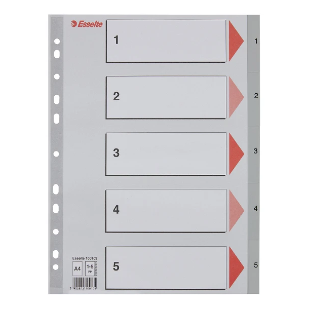 Esselte register plastic A4 Gr