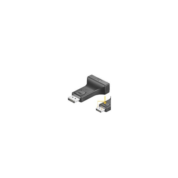 Goobay 51720 Displayport/DVI Adapter 1.1